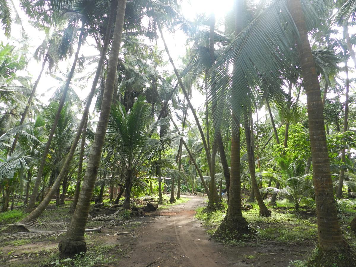 Bangli, The Finest Konkan Living Hotell Dāpoli Exteriör bild